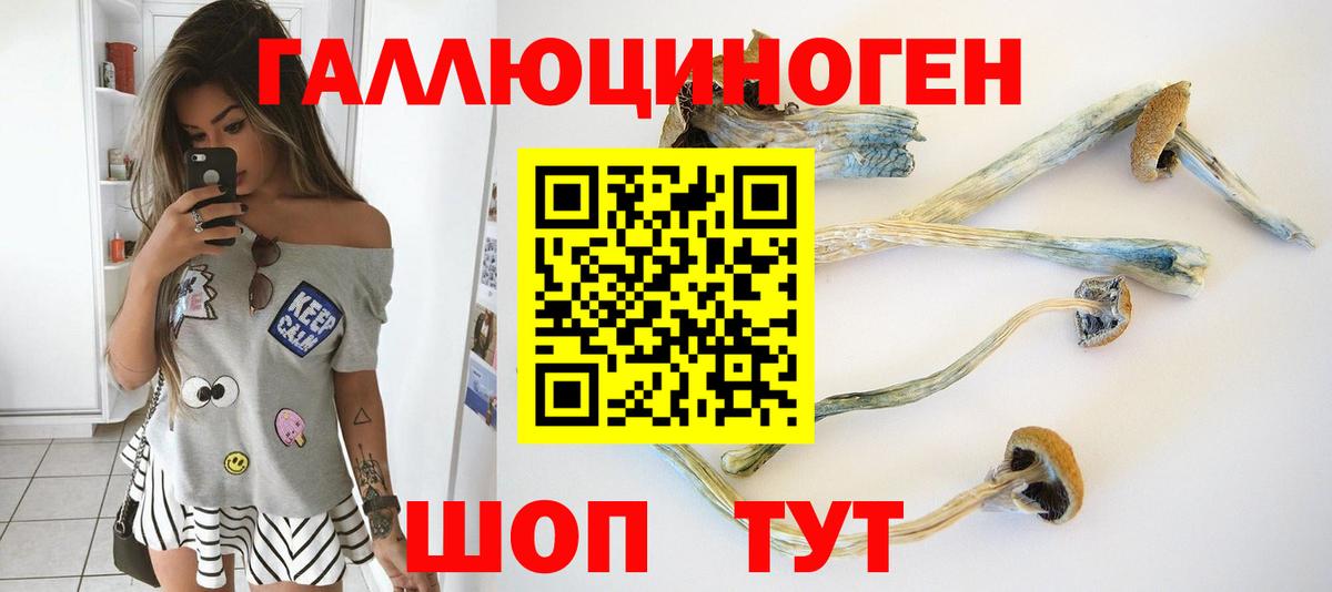 как найти закладки  Псилоцибиновые грибы Cubensis  Псилоцибиновые грибы Psilocybine cubensis  Вход с VPN  Лесосибирск 